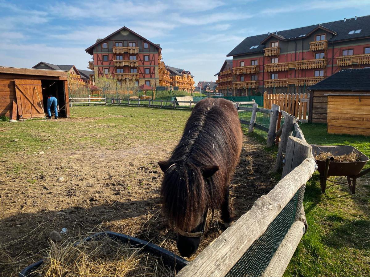 Apartman Mountain View - Tatragolf C Vel'ka Lomnica Eksteriør billede